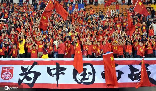 足球各项纪录数据,最近三届足球世界杯数据