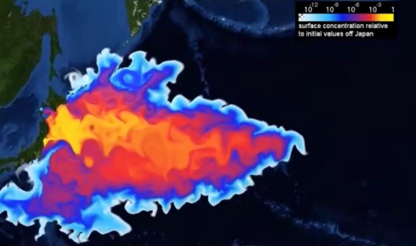 日本核污染水台湾,日本核污染水多久到达福建海域