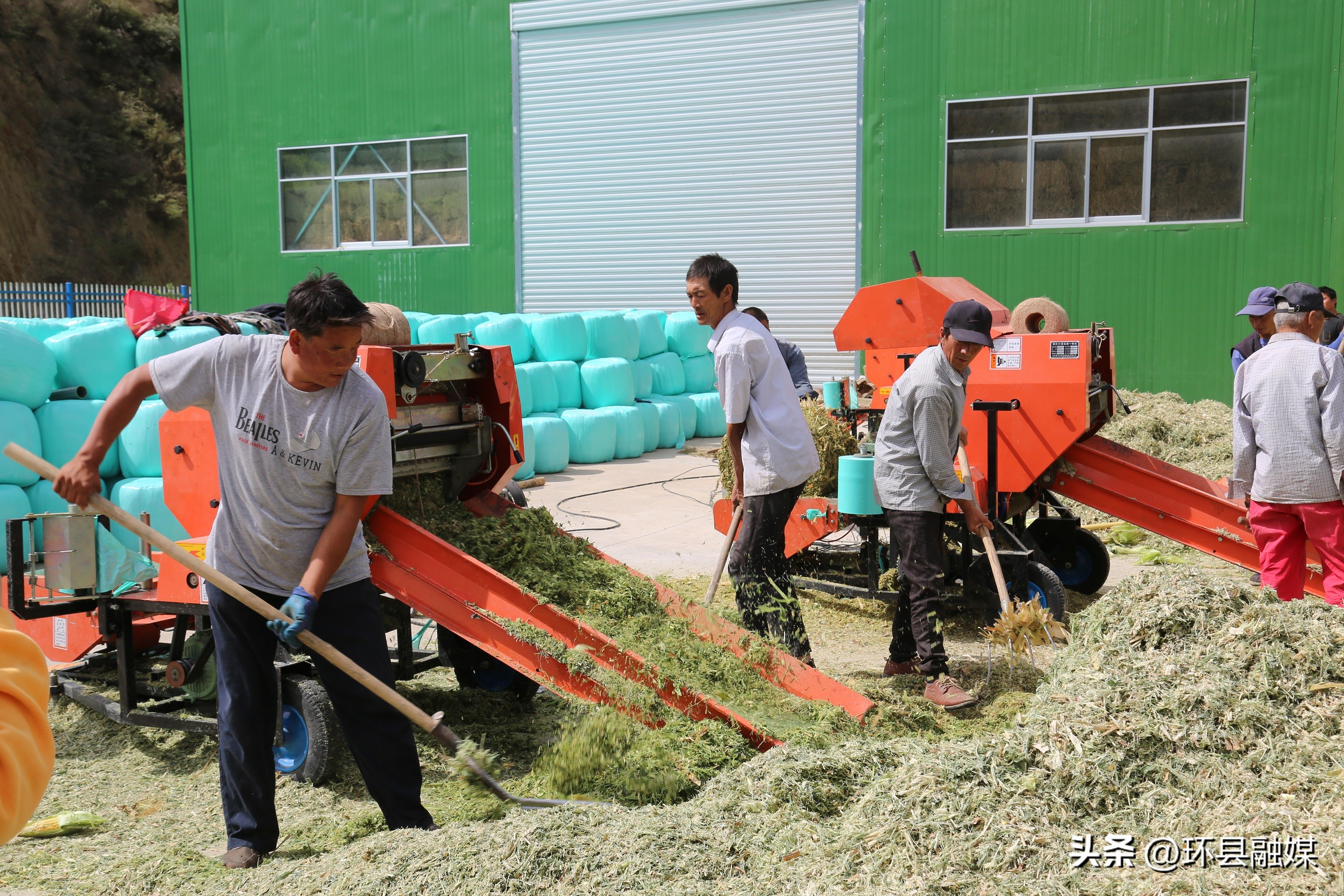 带动群众致富奔小康,容县强化党建引领助推产业发展