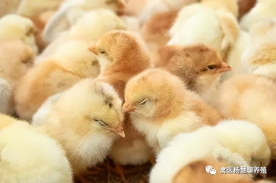 绂藉尰瑙ｈ,绂藉尰鏉ㄦ収