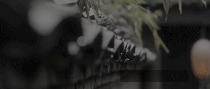 连续可变量子MNIST分类器的经典量子混合神经网络探索