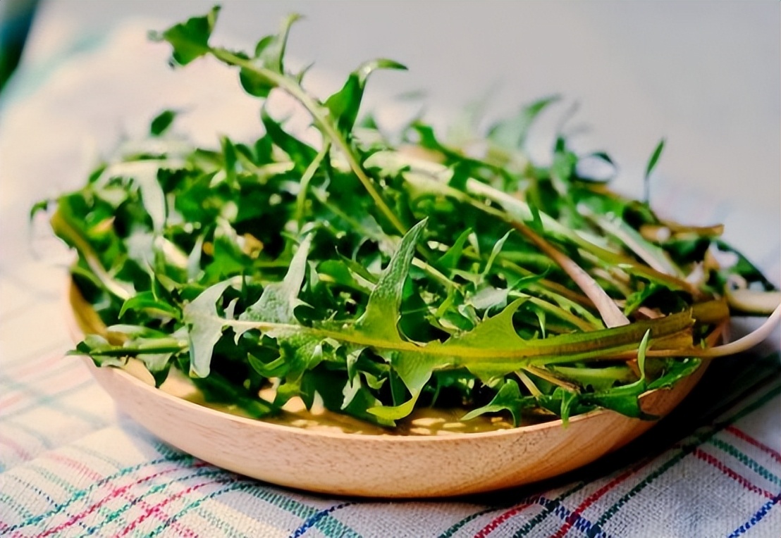 蒲公英会降血糖吗,蒲公英车前草的抗癌功效与作用