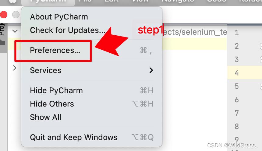 pythonselenium网页自动化教程,web自动化测试selenium入门