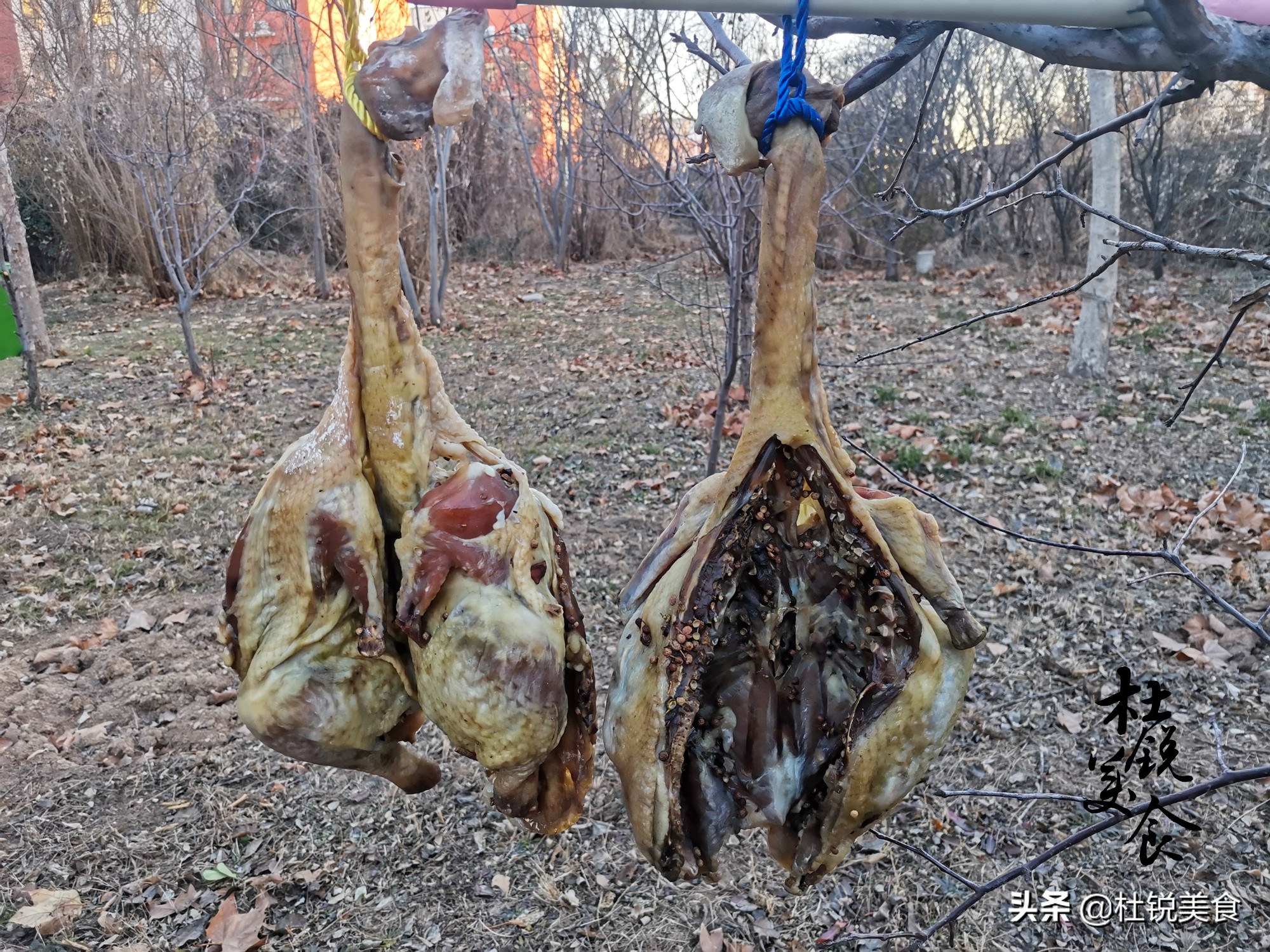 在家做风干鸡，只加盐可不行，多加4料更鲜香，过年下酒就靠它