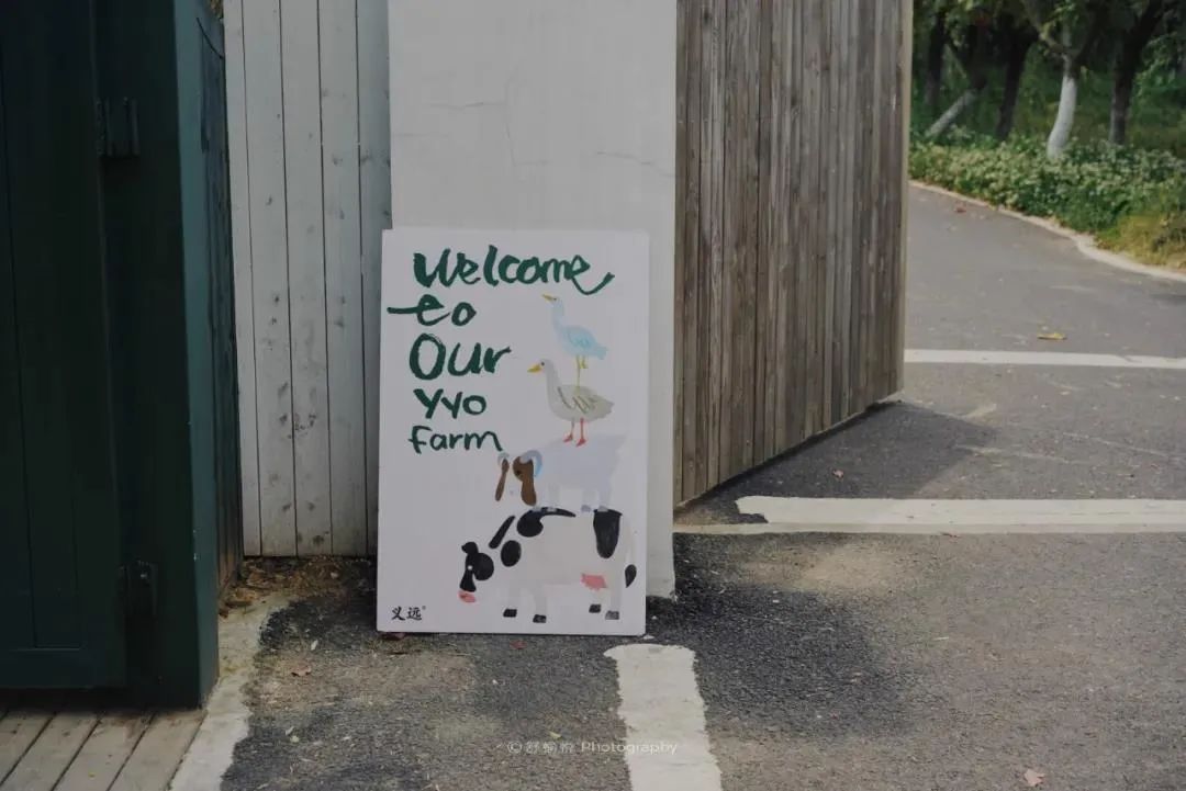 夏天凉快风景好又有水的旅游景点,夏天旅游景点哪里最好玩