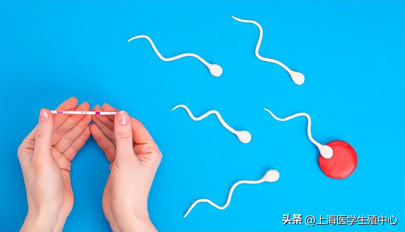 试管婴儿问题大全,试管婴儿过程中所遇问题详解