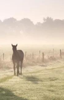 正视自己的缺点300字,正视自己的缺点下一句
