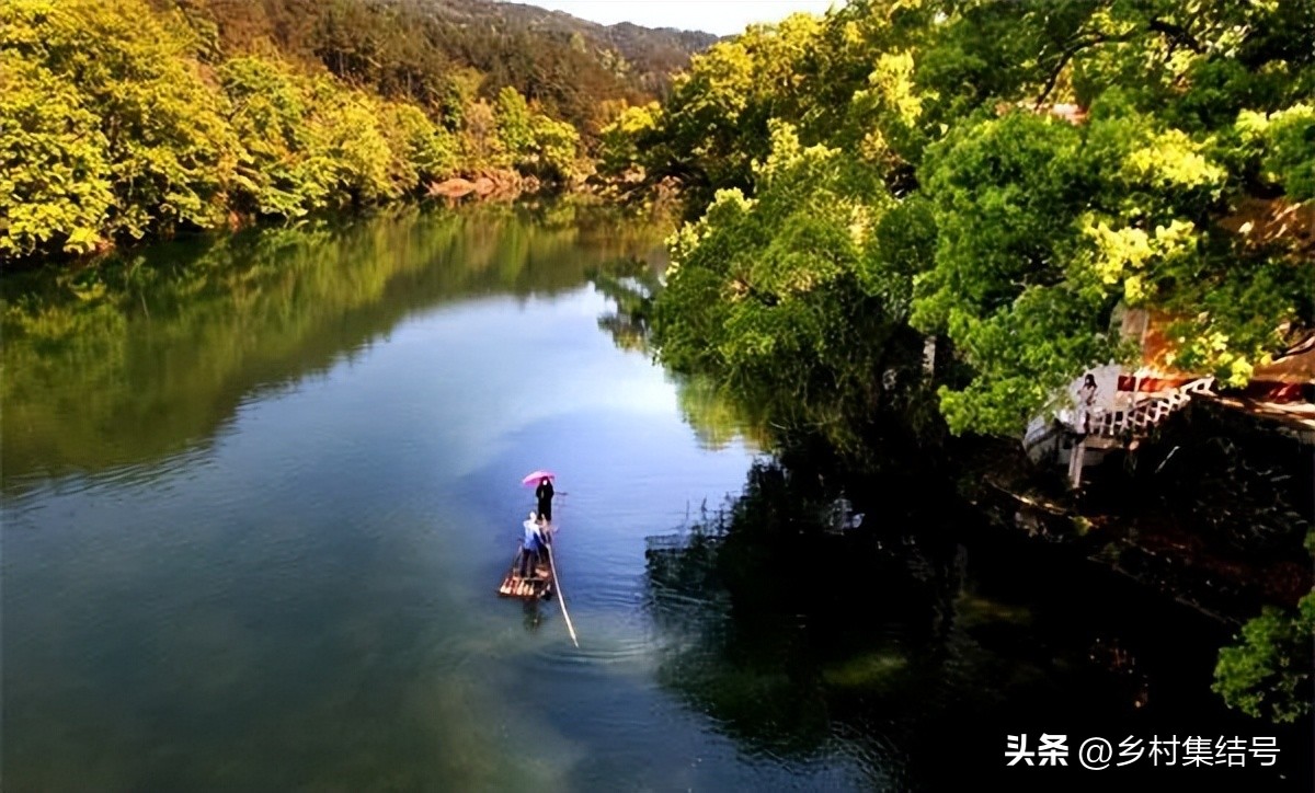 合作社新型农业主体典型案例,合作社农户发展经典模式