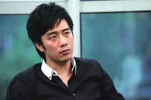 陈欧为什么花了3个亿,陈欧败光百亿身家