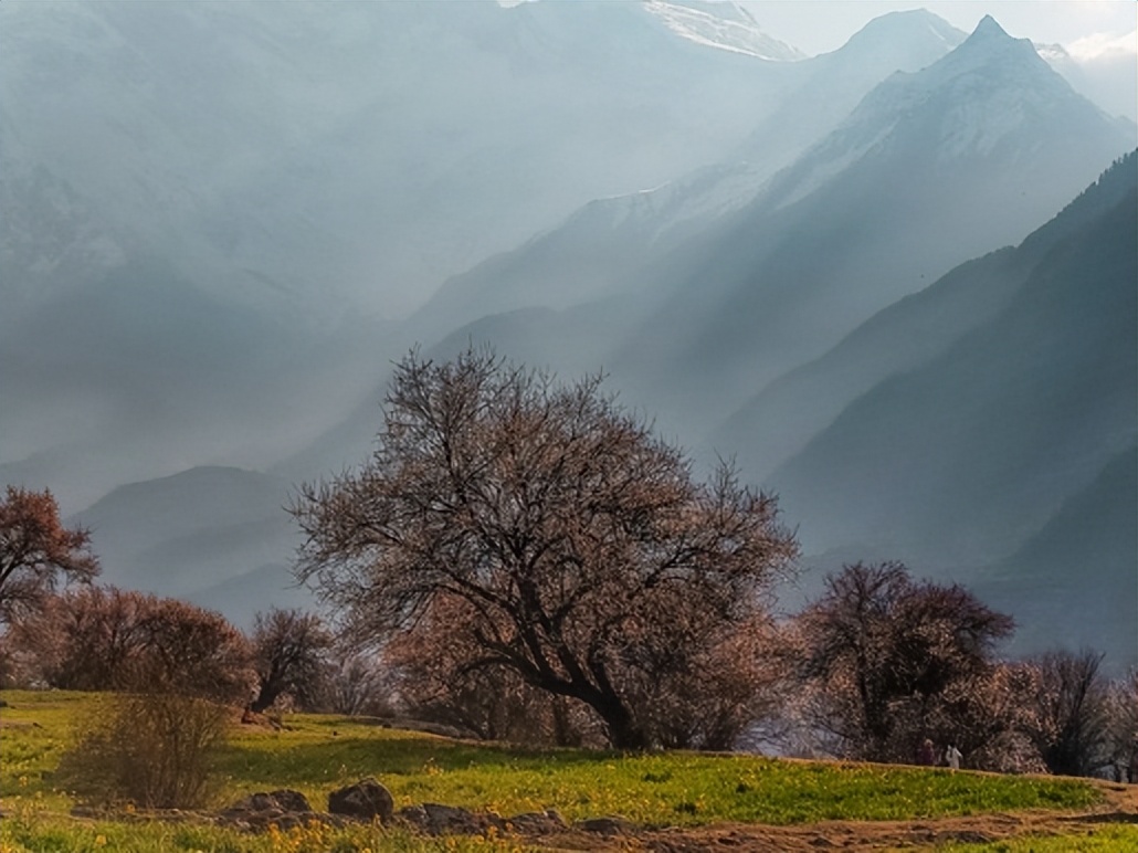 索尼xperiapro-i拍照排行,三星s21ultra与索尼xperiapro