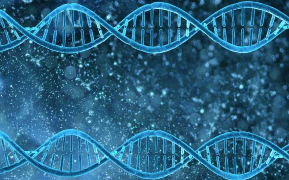 *亲近**繁殖危害很大！这是来自基因的“诅咒”，无法破解