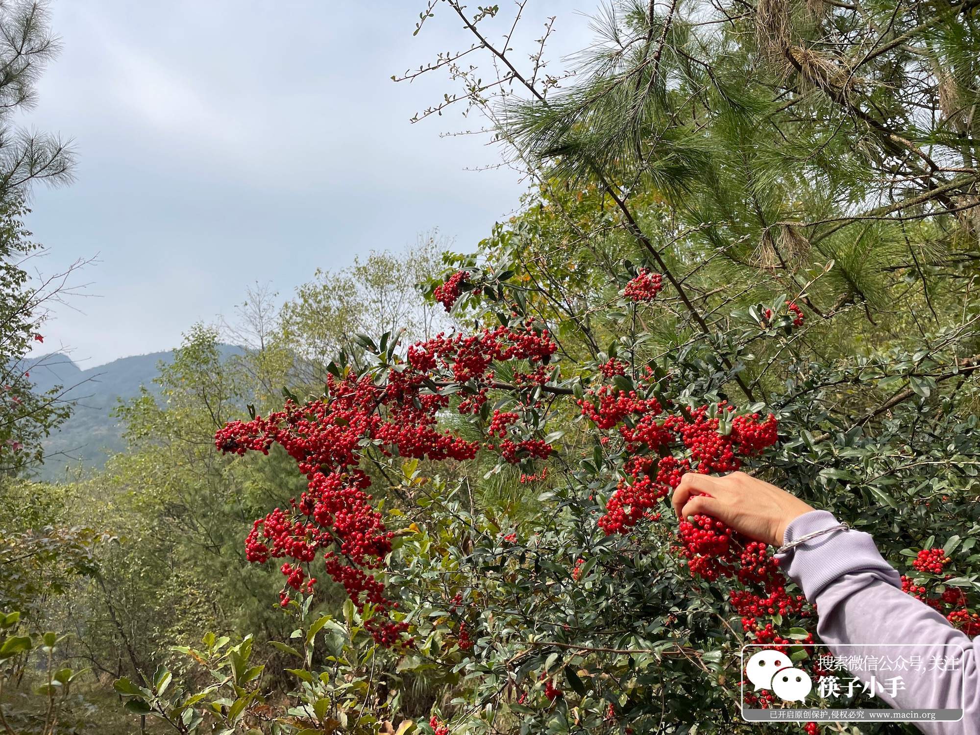 悬崖村步行道原来的样子,凉山悬崖村徒步