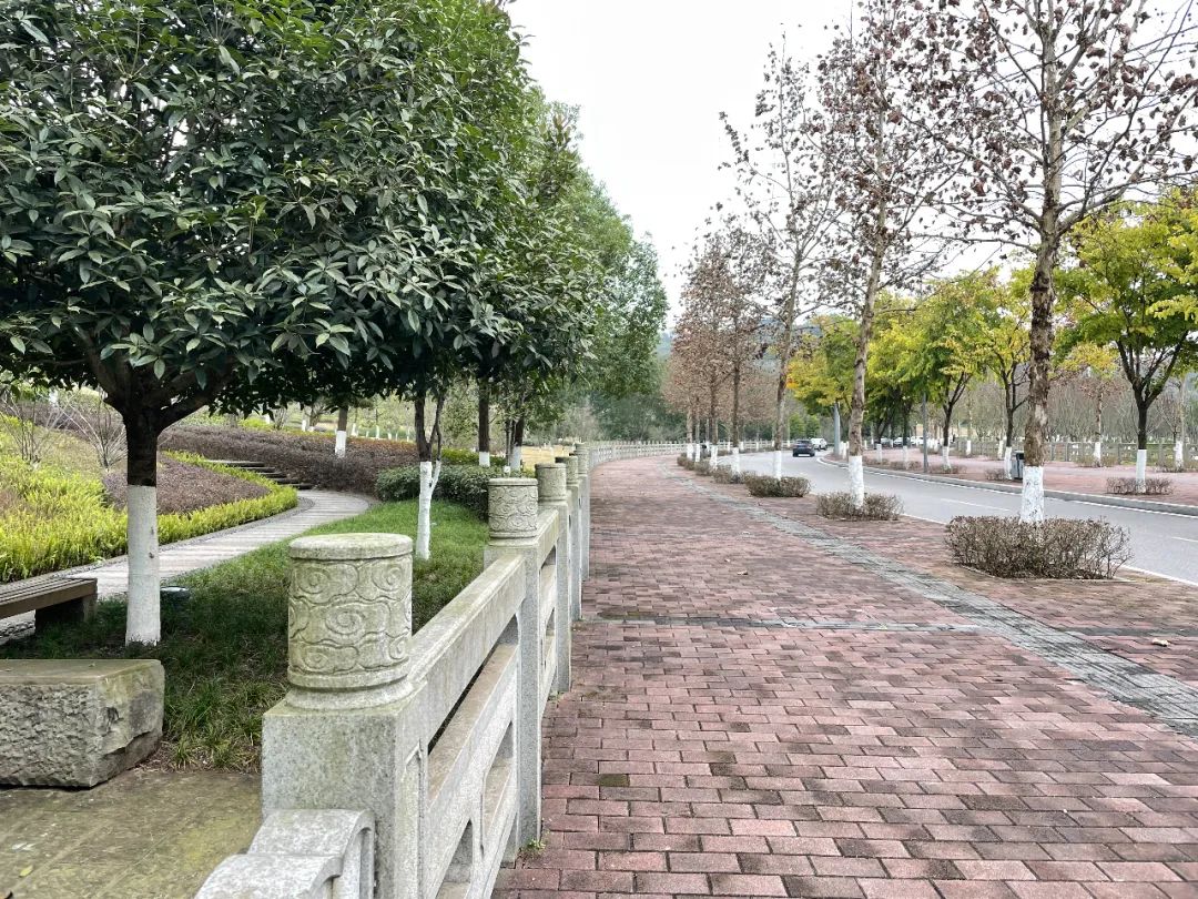 第057杯|喝的就是西北风