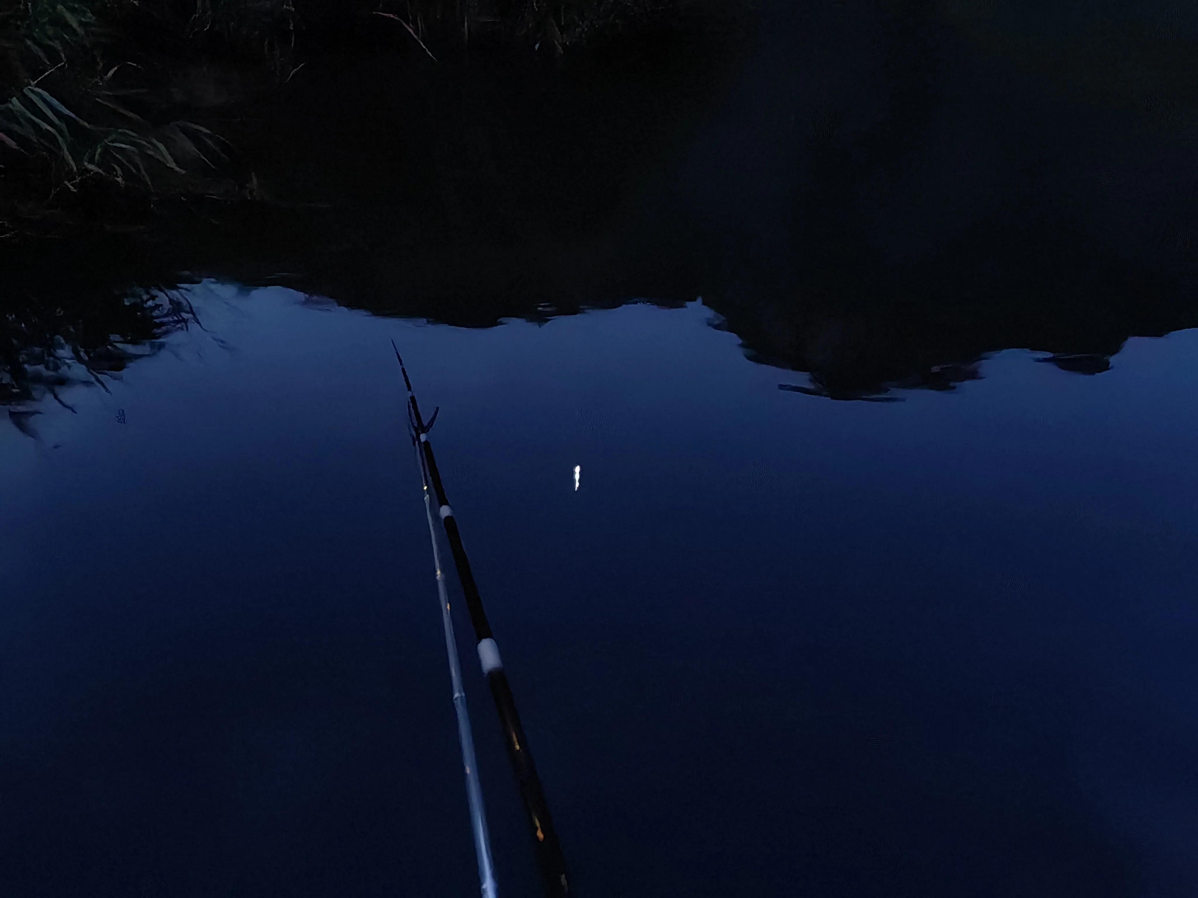 明大大原声,明大大记录生活