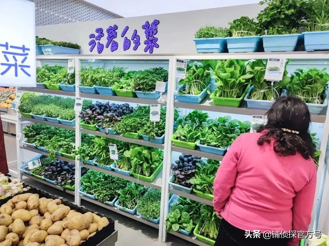 谊品生鲜深度解析,谊品生鲜成功之道