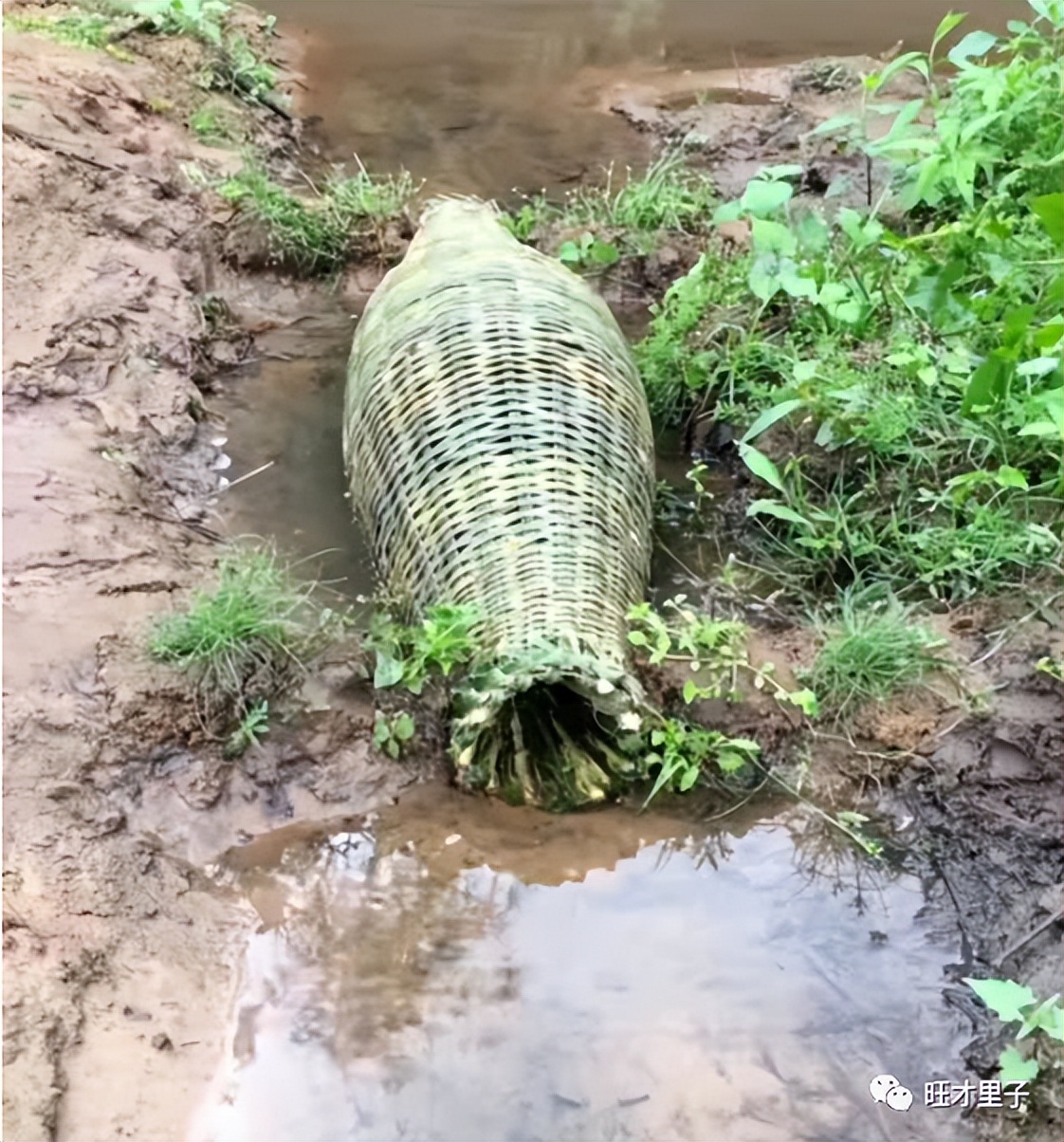 买定离手，富贵我有；十赌九输，蓝瘦香菇。
