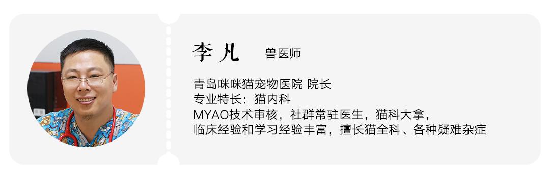 猫每天梳毛用什么梳子,哪种梳子给猫梳毛好用