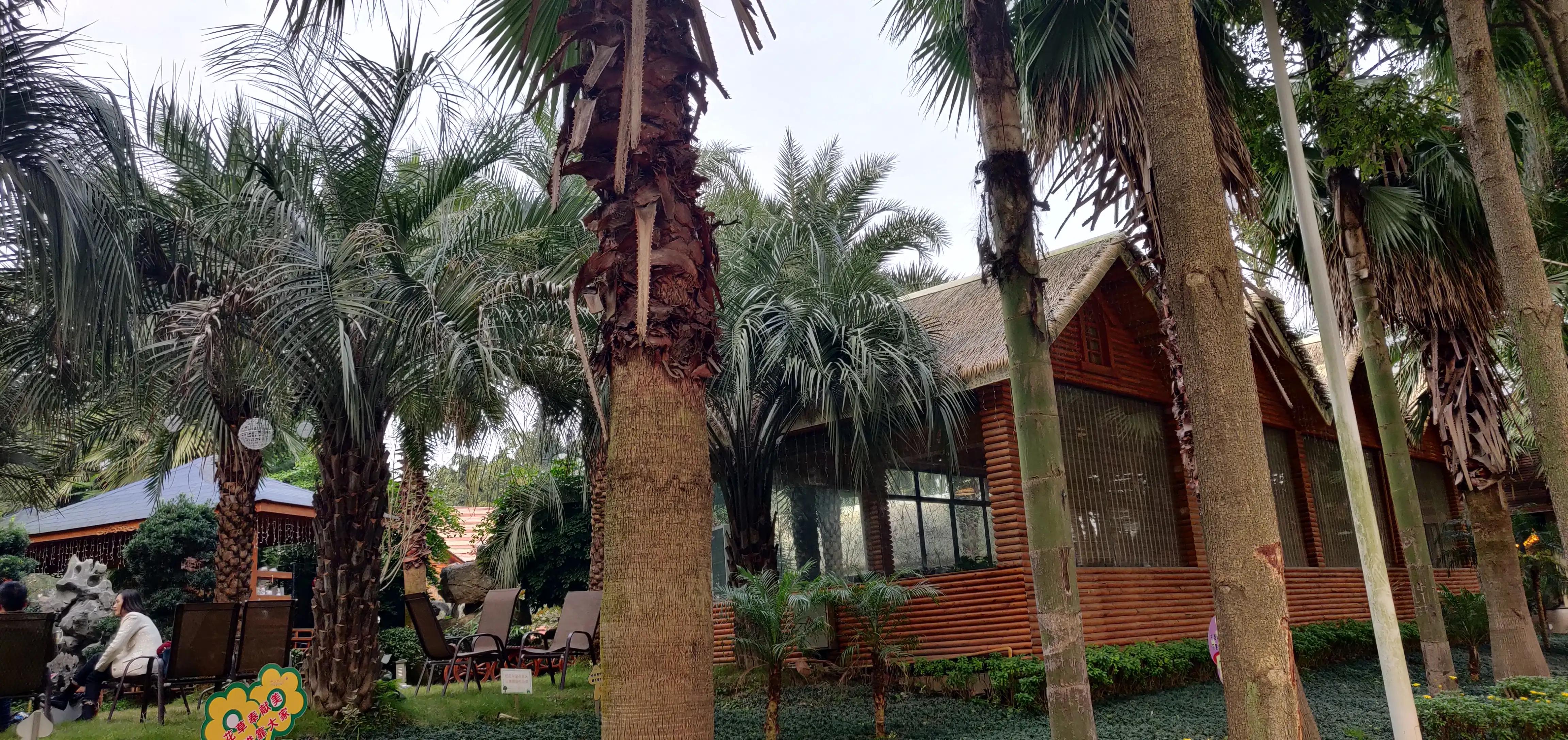 美味柴火鸡铁锅炖,美味柴火鸡汤