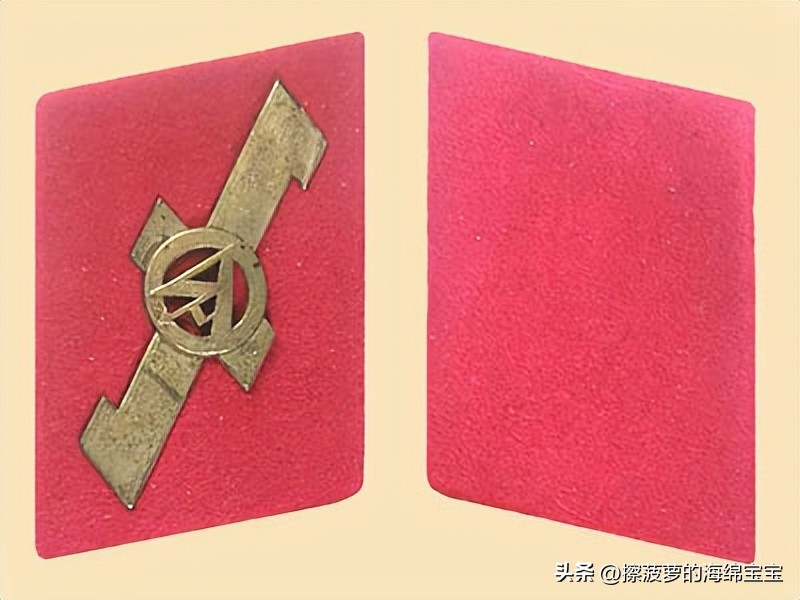 纳粹冲锋队用的什么枪,纳粹德军军衔图解