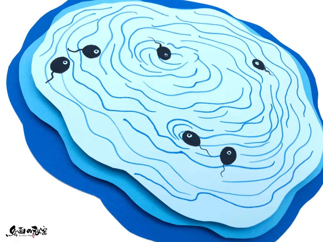 小青蛙视频,小青蛙歌