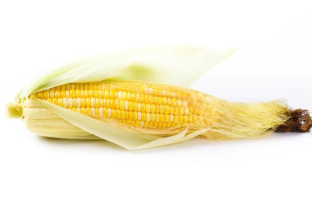 阳了以后吃什么最有营养,阳过之后吃什么营养品能增强体质