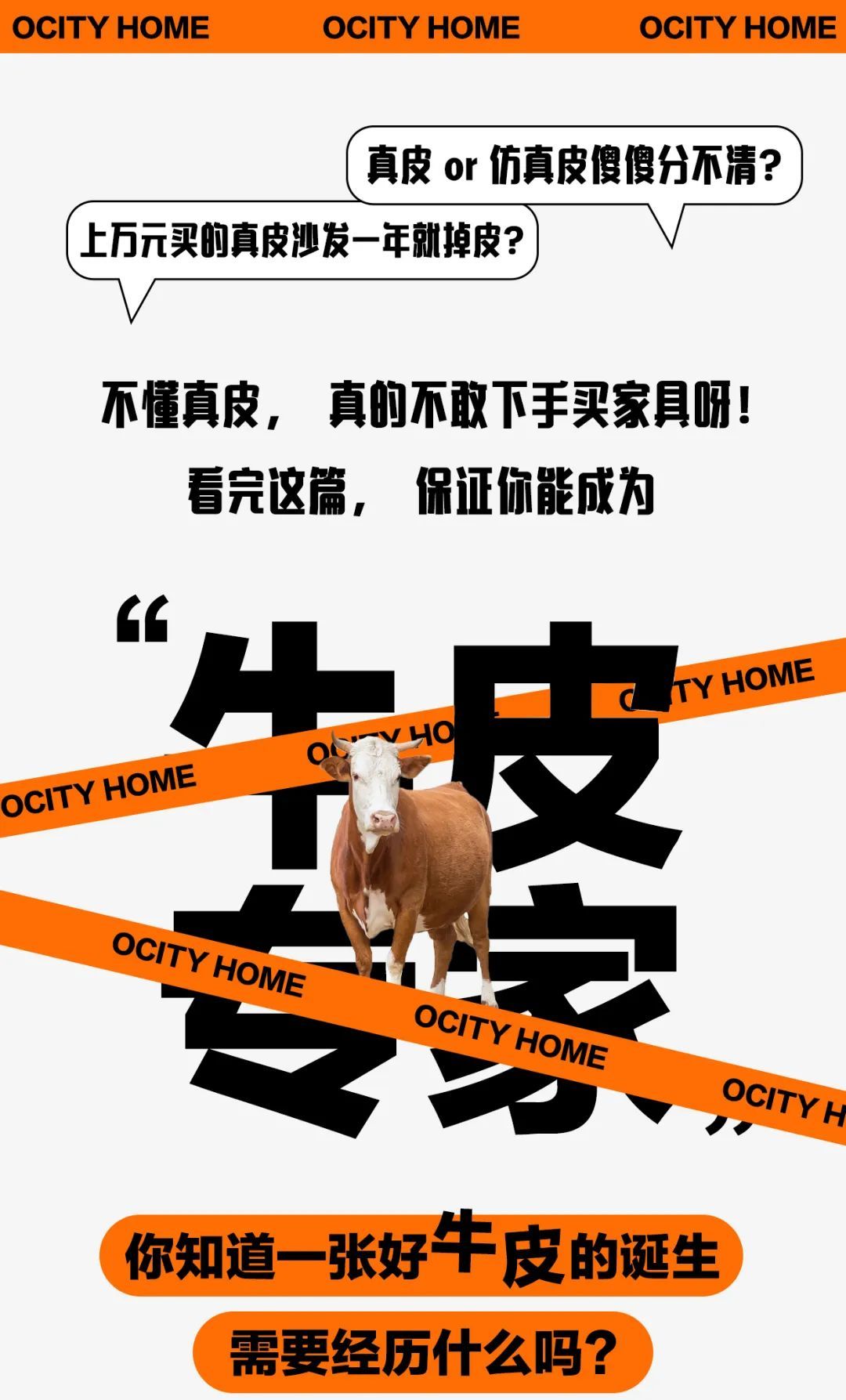 真皮家具详细讲解,真皮家具包括哪些品牌