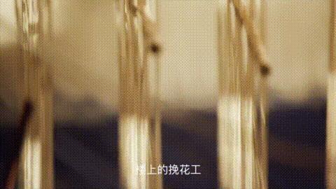 香云博物志|“天下母锦”、寸锦寸金之蜀锦