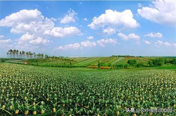 漂泊到上海,漂泊在北上