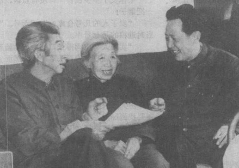 1976年,汉奸妻子赴日讨要巨额遗产,竟在法庭上遇到四个“自己”