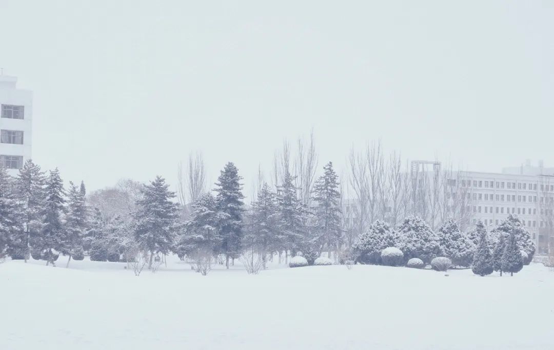 2月，终于可以尽情生活