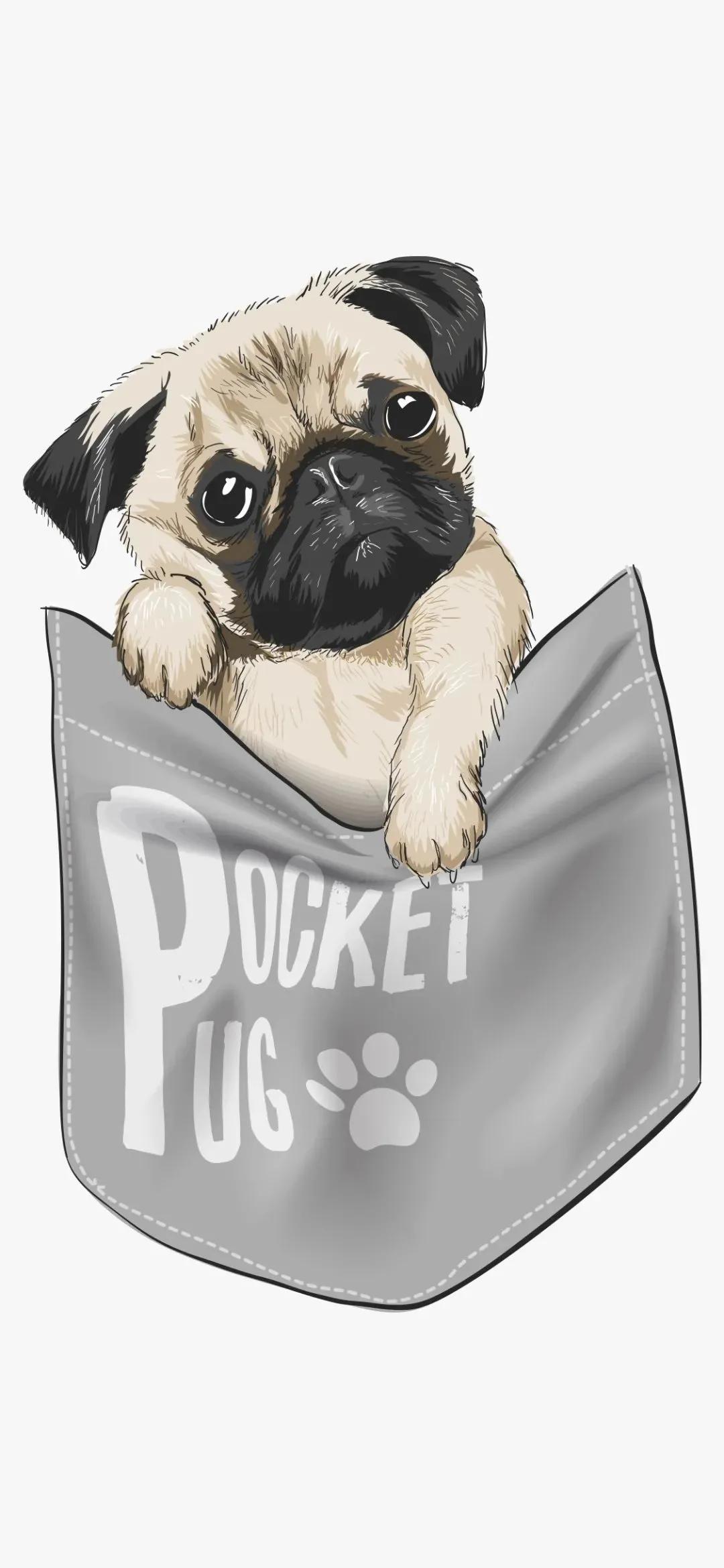 醋能除掉墙上的霉,醋加什么去除霉渍