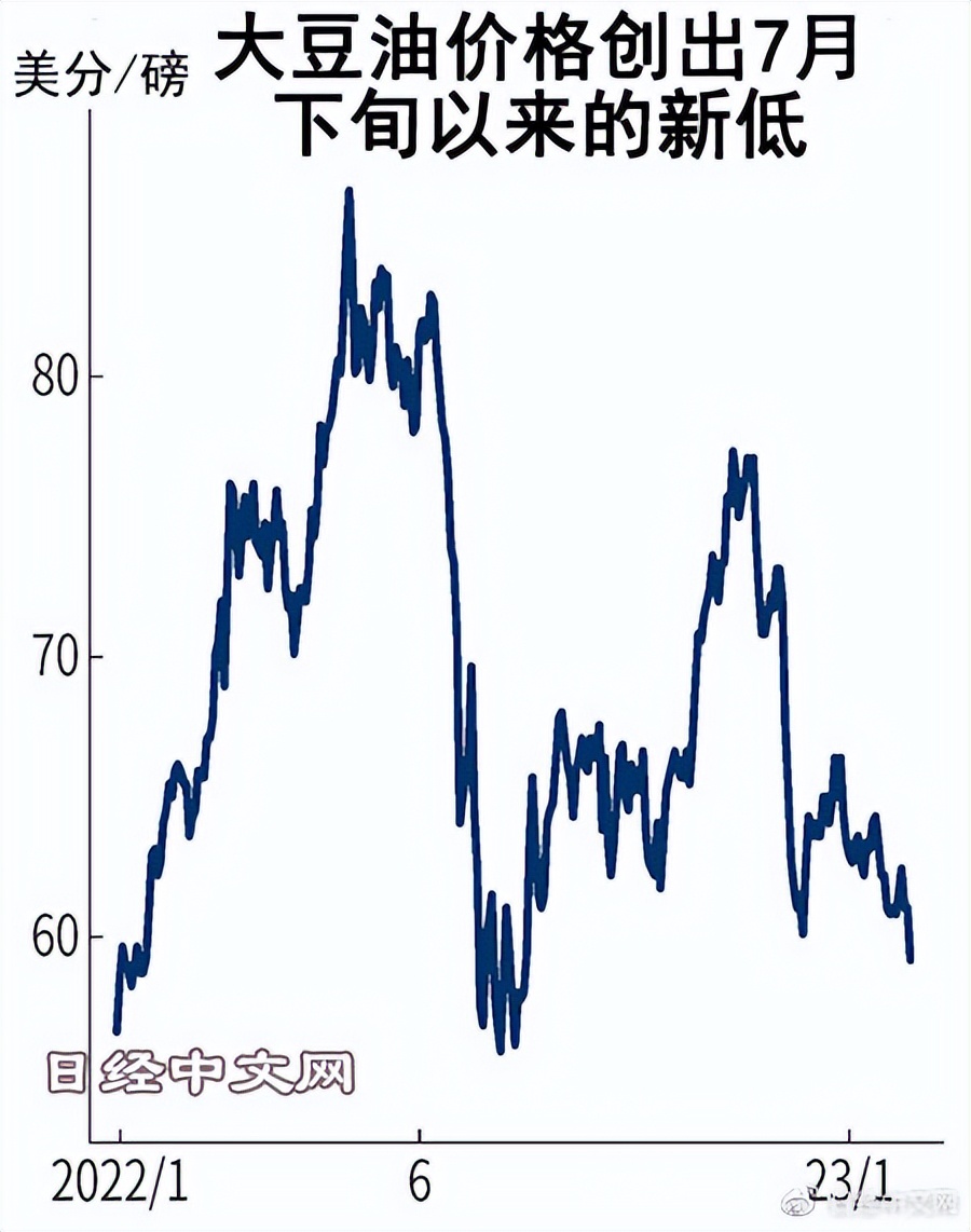 大豆油价格走向,大豆油价格持续下降多少