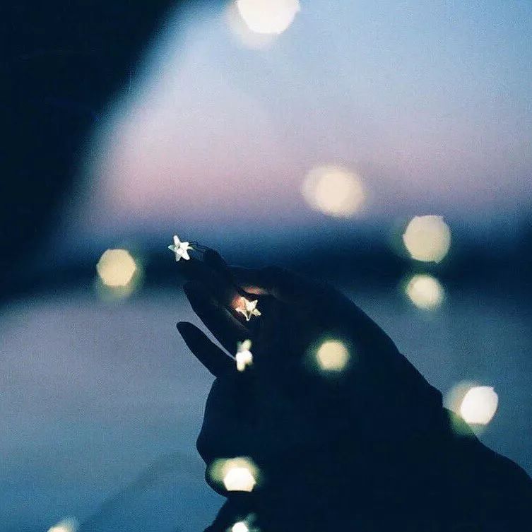 f4和f2.8差距很大吗,f4和f2.8光圈区别多大