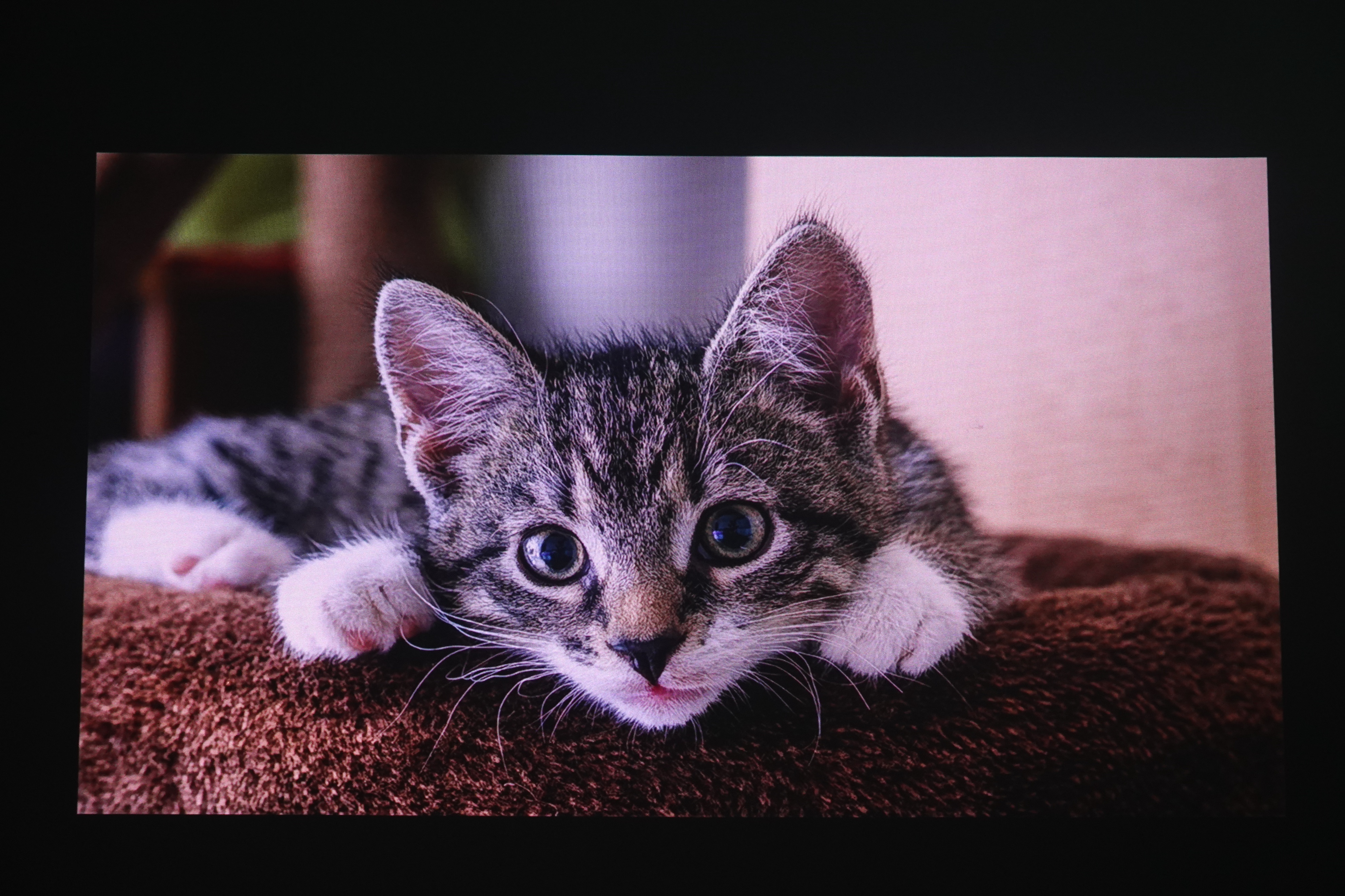 坚果n1pro对比n1ultra投影效果,坚果n1spro投影仪3d真实测评