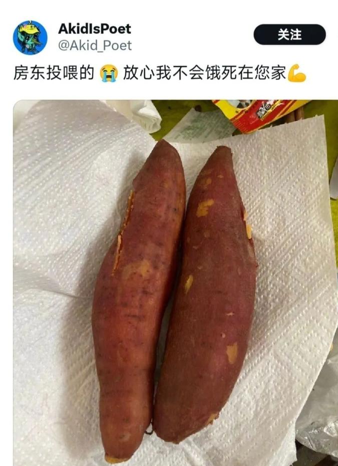 饿死在日本的中国女记者,饿死在日本的女记者