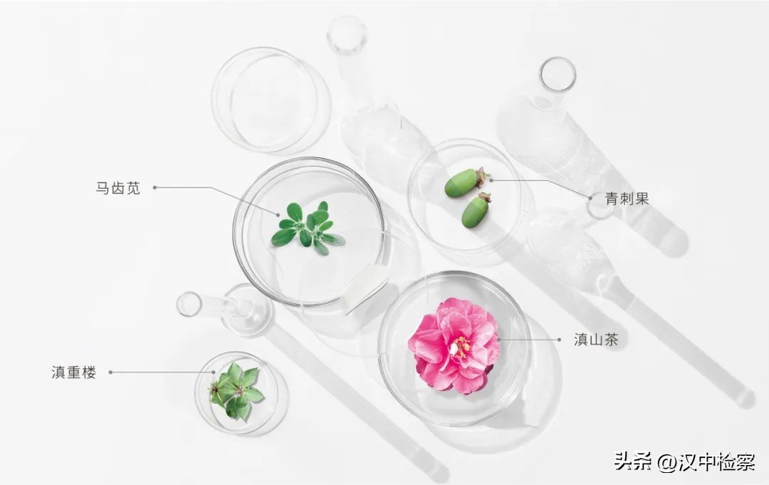 双十一美妆品牌销售榜单全揭晓,双十一美妆行业现状