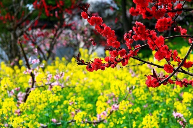 涓婃捣鍗佸ぇ璧忔鍦扮偣鎺掑悕,涓婃捣鍗佸ぇ璧忚姳鍏洯