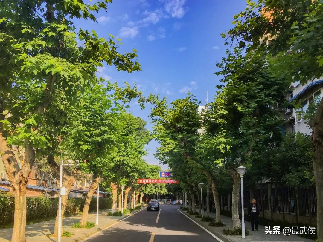 有一种幸福叫公园绿地就在家门口,有一种幸福叫阳光的温暖