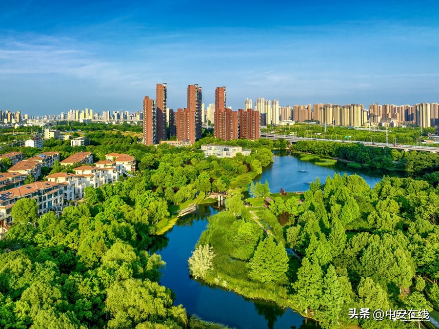 合肥湿地公园好去处,安徽合肥秀美风景