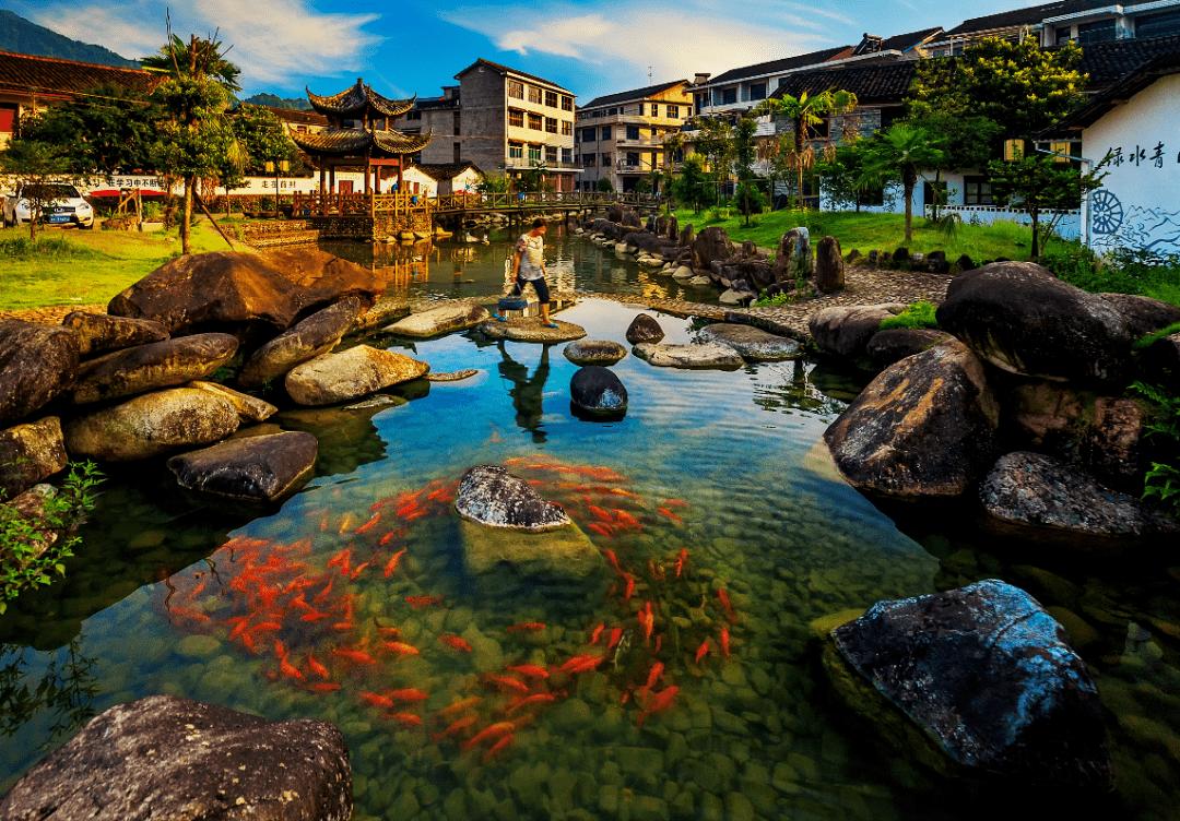 丽水vs景德镇,丽水第一强县