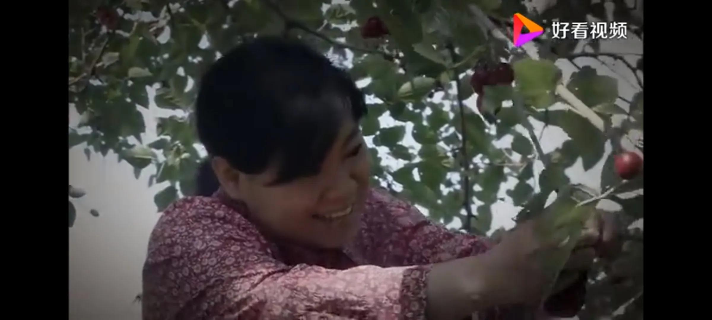 母爱有多伟大能让人起死回生,母爱很伟大吗