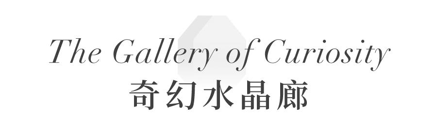 swarovski施华洛世奇旗舰店直播,swarovski旗舰店直播