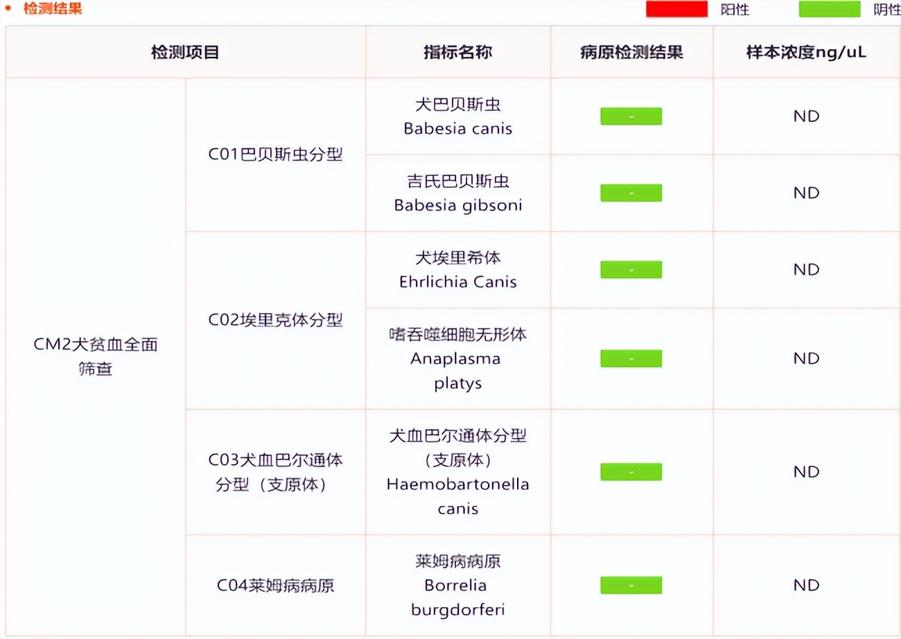 狗狗驱虫后呕吐是正常现象,狗狗昨天一直呕吐今天状态好点了