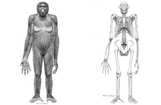 足球起源于1930年用英语怎么说,关于足球起源简介的英文