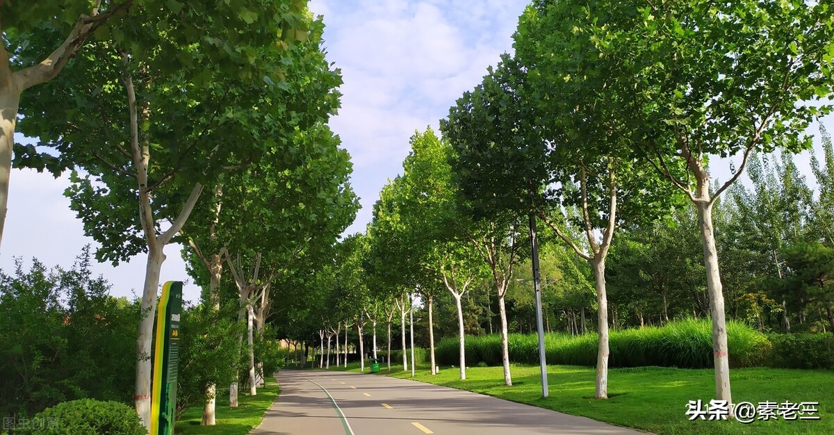 女作家去做保姆407,女作家去做保姆408