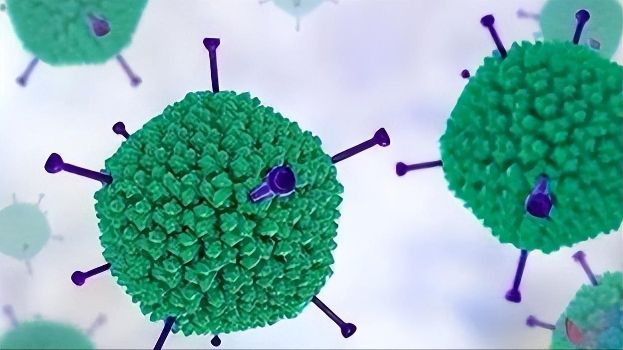 周围神经损伤的分类及潜在治疗方法