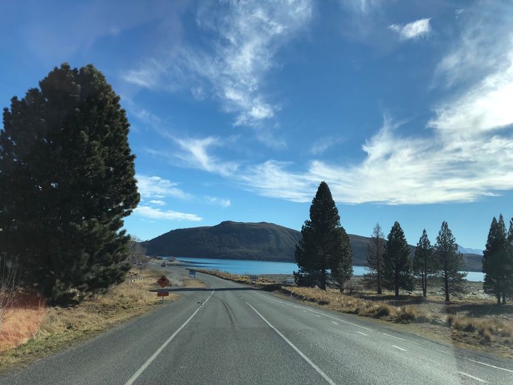 在新西兰如何找到南十字星,新西兰看南十字星