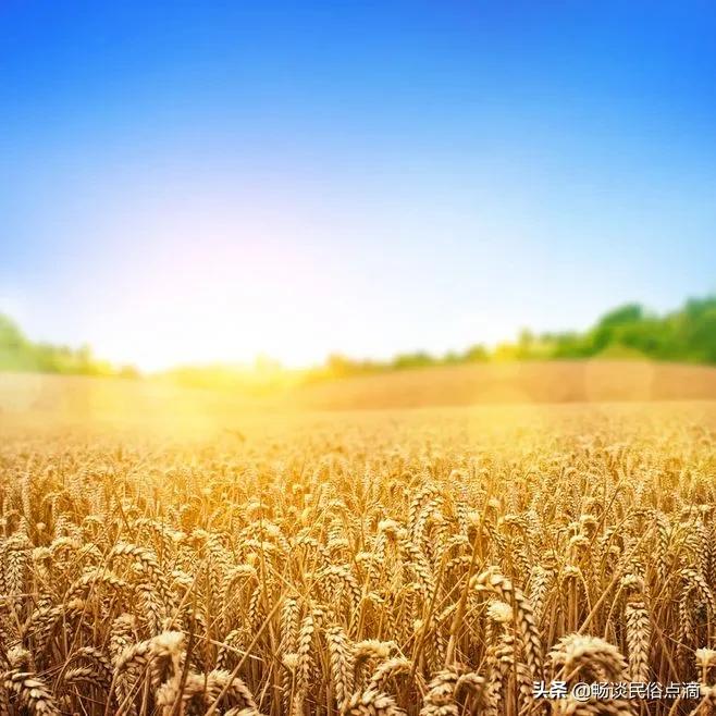 四月二十阴天有什么说法,农历四月初一下雨有什么说法