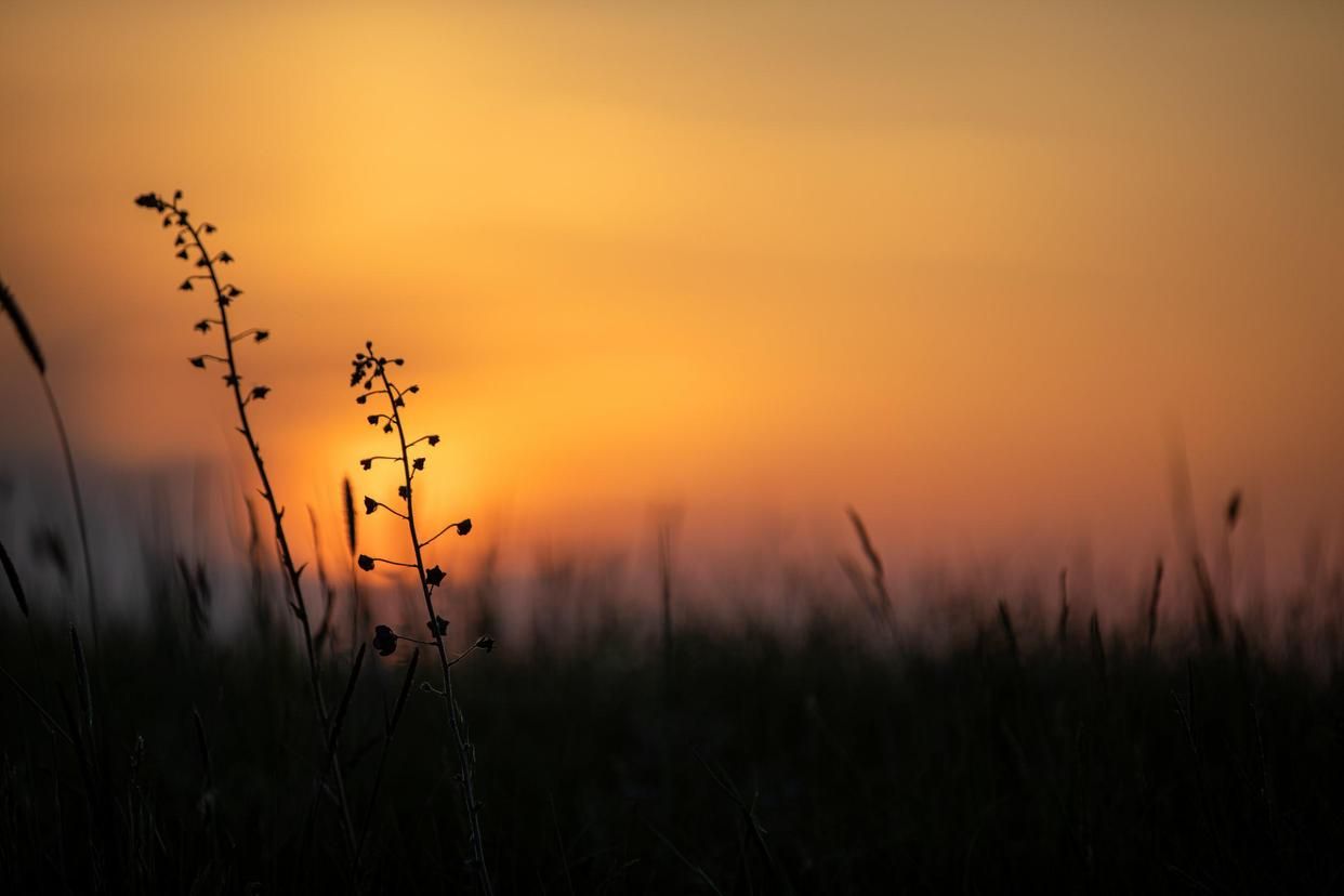 春夏秋冬最美的四首古诗词,古诗词里的中国四季之美