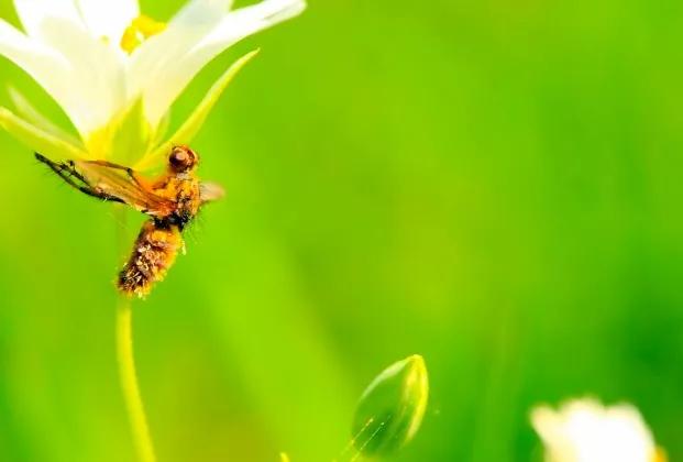 保姆慕兰月薪10000第79集,保姆慕兰月薪一万深圳打工